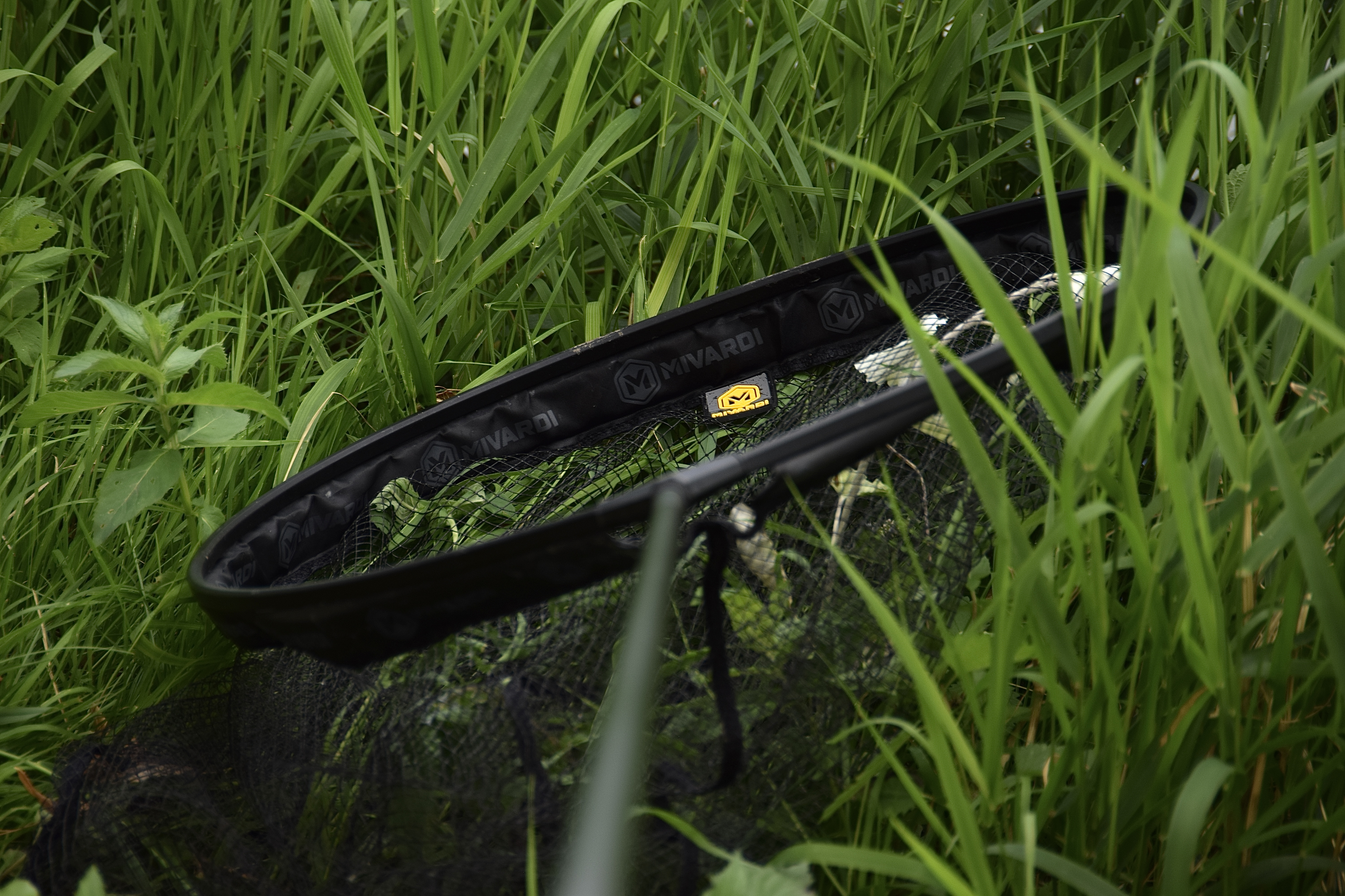 img-4018.jpeg (7.46 MB)