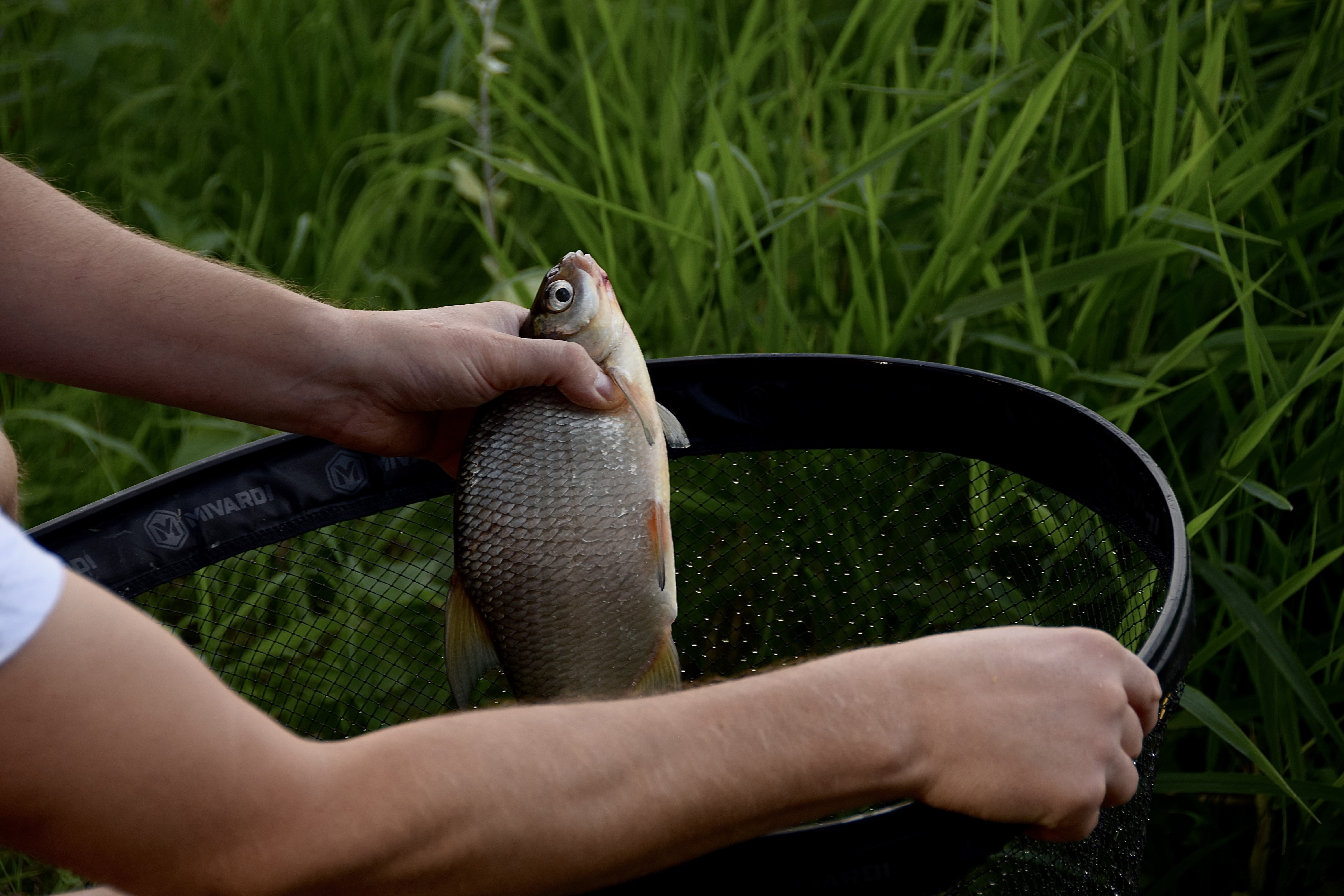 img-4031.jpeg (5.65 MB)