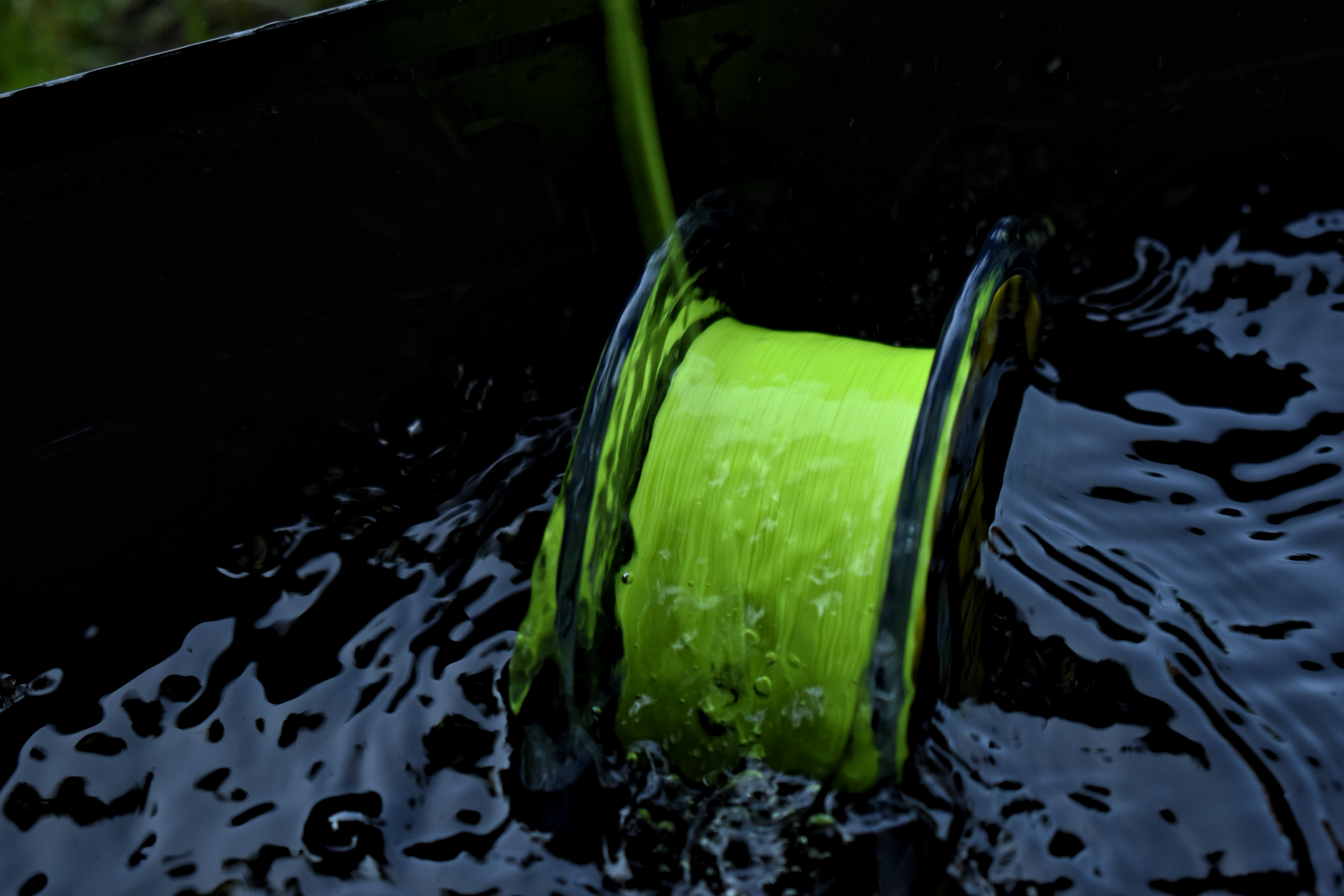 dsc-0790.jpg (13.46 MB)