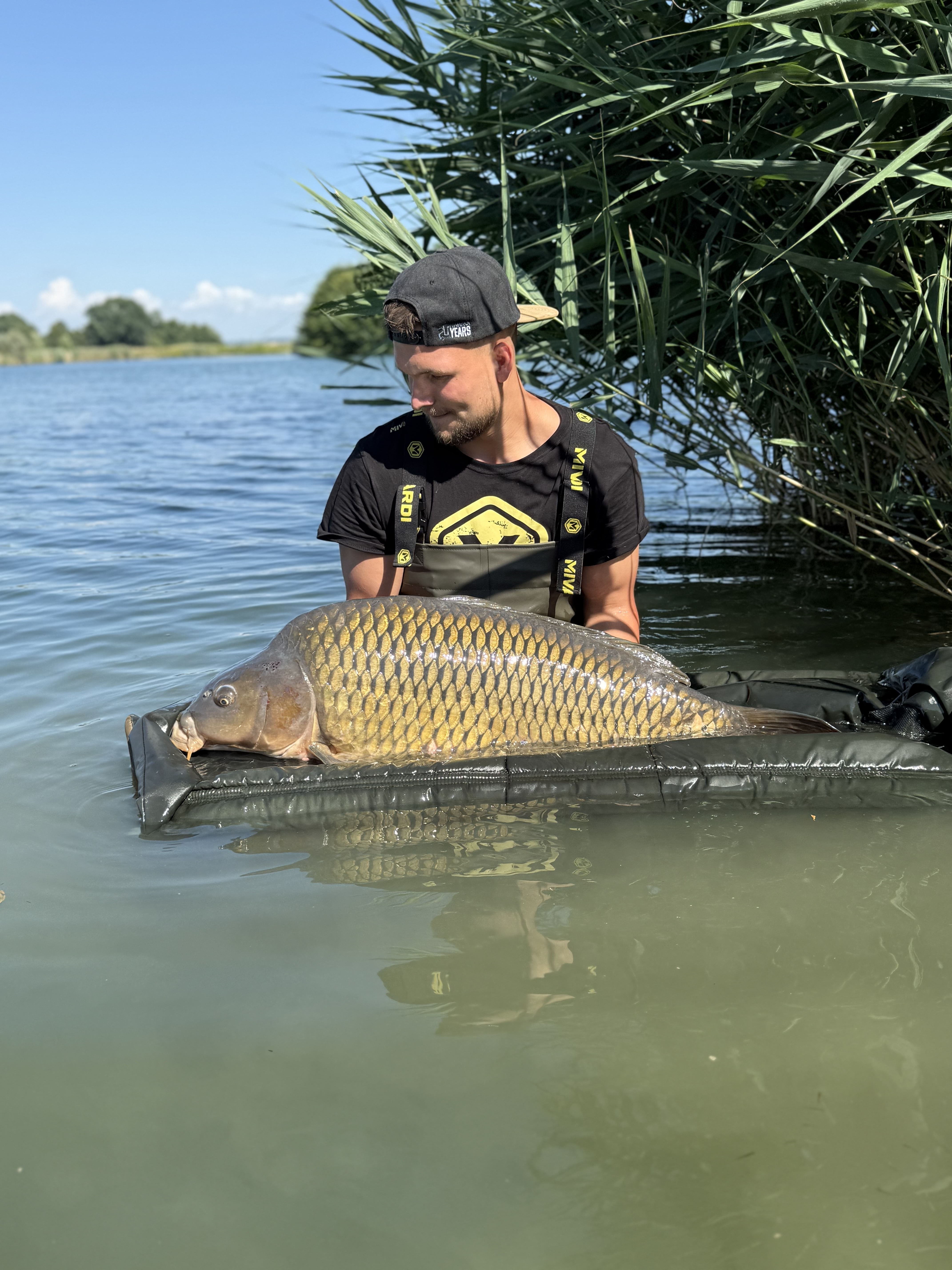 img-3443.jpeg (3.47 MB)