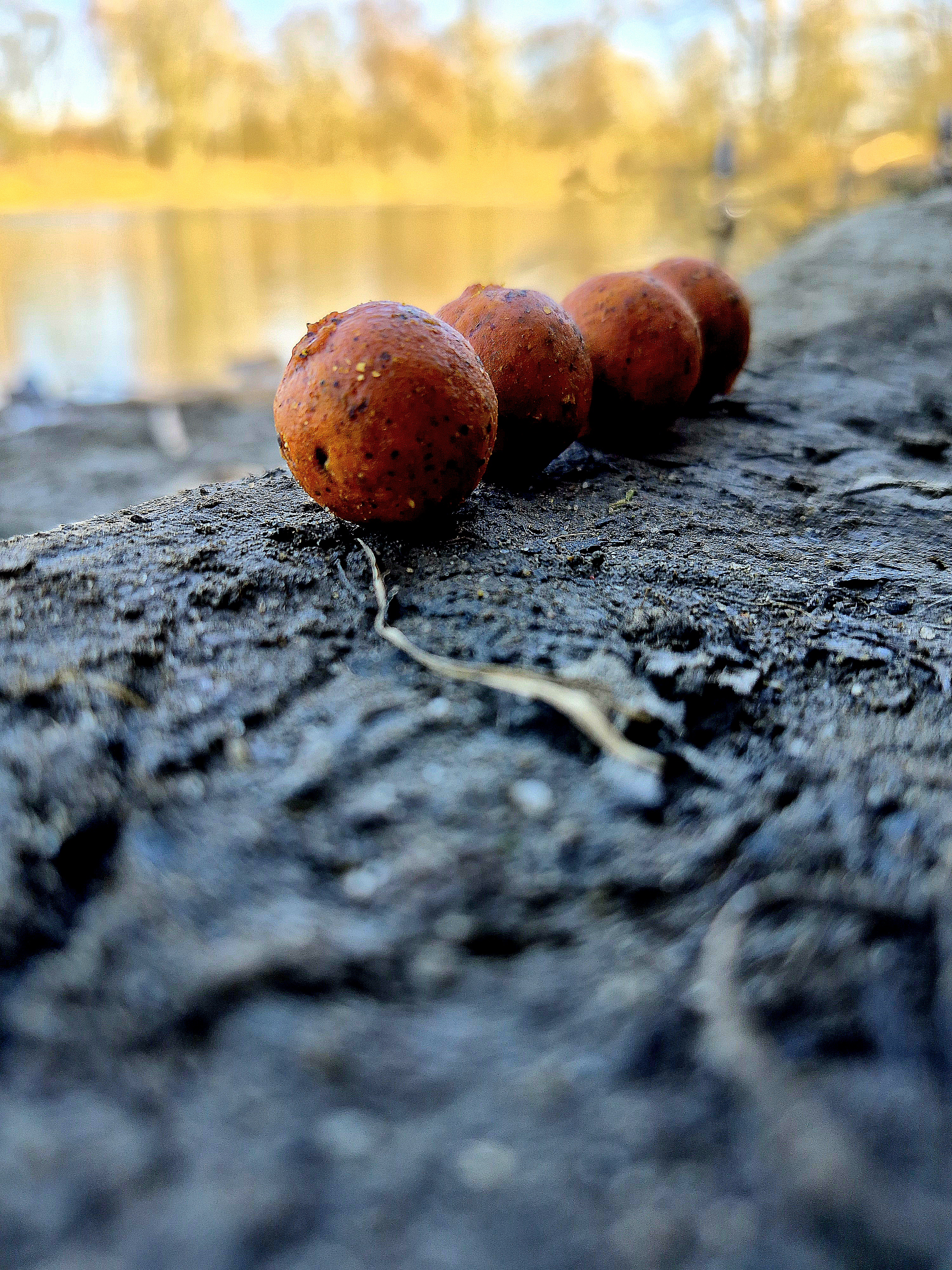 20260314-143500.jpg (6.42 MB)