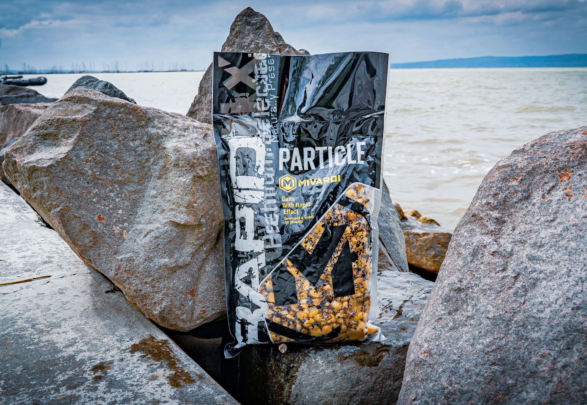 particle-1.jpg (2.20 MB)