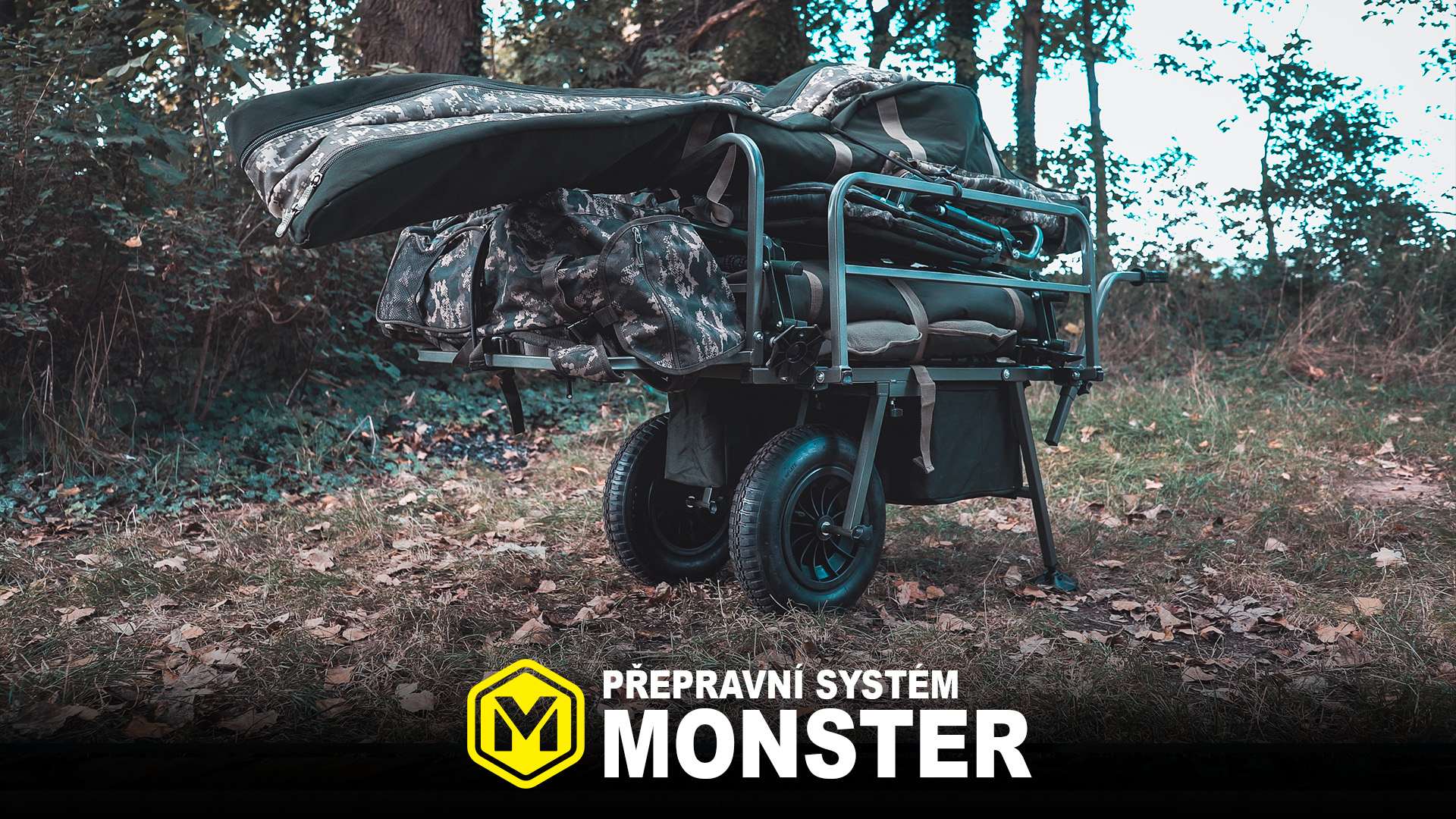 monster1-cz1.jpg (981 KB)