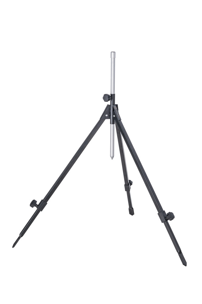 m-trimul-93840825-1716361298.jpg (30 KB)