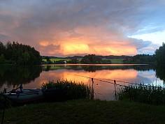 p5160058-1.jpg