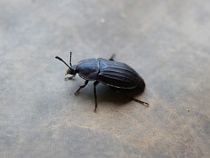 img_7143.jpg