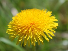img_7155.jpg