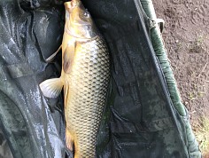 img_3762.jpg