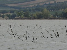 dscn3977.jpg