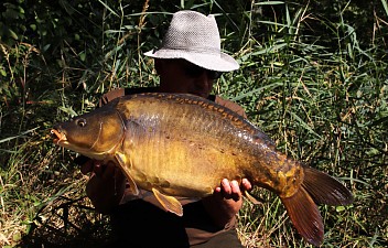 img_0071.jpg