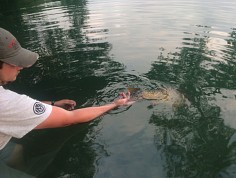 img_0383.jpg