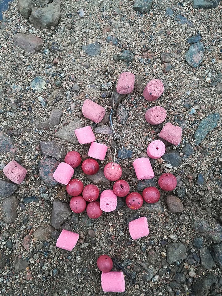 42424724_732066157180102_186250191639150592_n.jpg