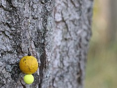 img_3544.jpg