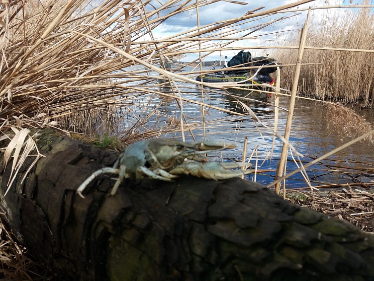 20190308_140148.jpg