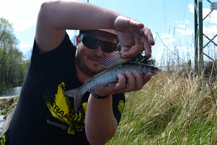 dsc_0931.jpg