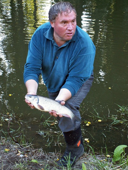 Krásný tloušť