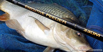 Executive feeder 9
