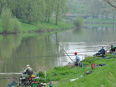 dsc_5085_resize.jpg