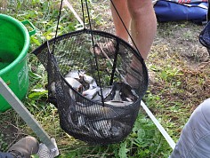 dsc_0127-2.jpg