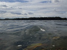 p9160074.jpg