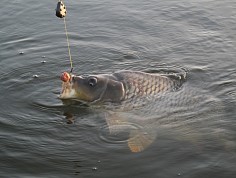 img_0193_resize.jpg