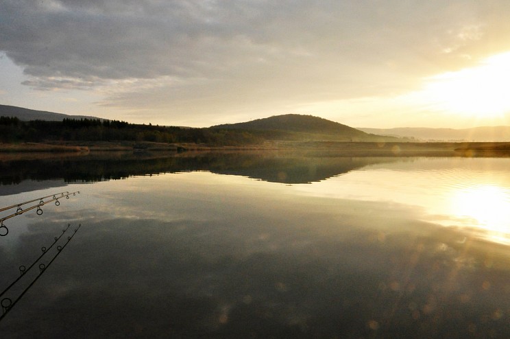 dsc_2039.jpg
