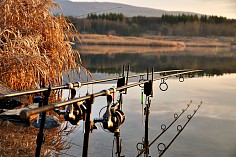 dsc_2031.jpg