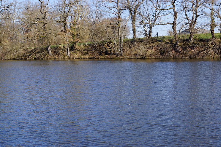 dsc00561.jpg