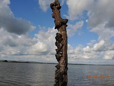 dscn0822.jpg