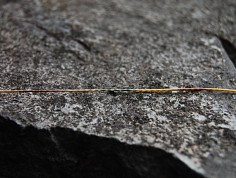 stealth-skinline2.jpg