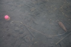 semi-stiff-6.jpg