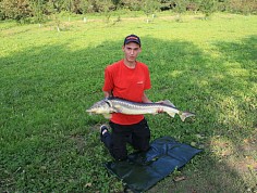 img_8162.jpg