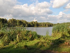 dsc_0021-7.jpg