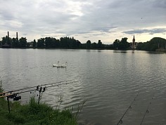 img_5556.jpg