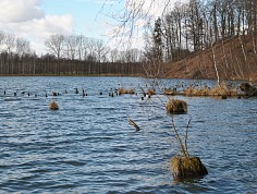 dsc_0015.jpg