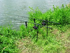 img_7024.jpg