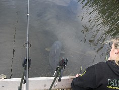 img_4312.jpg