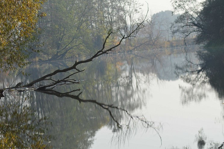 dsc_0382.jpg