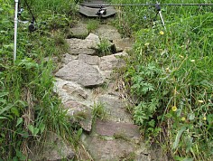 jdufek2(5)