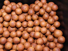 spinka_zpr02_6.jpg