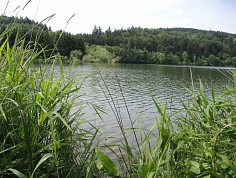 hanak_cln01_2.jpg