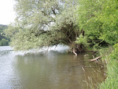 hanak_cln01_3.jpg
