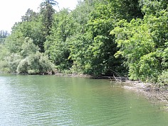 hanak_cln01_7.jpg