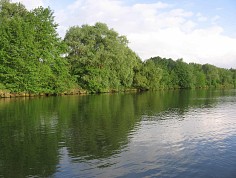 dufek_cl1_17_12.jpg