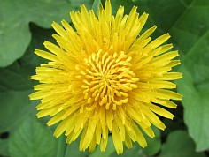 dufek_zpr08_1.jpg