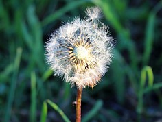 prchlik_cln02_17_018.jpg