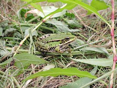 hanak_zpr1017_06_resize.jpg