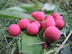 hanak_zpr1017_14_resize.jpg