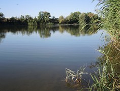hanak_cln1117_28_resize.jpg