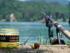 nedelka_zpr112017_0013.jpg